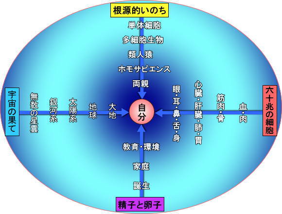 生かされてある自分のイメージ図